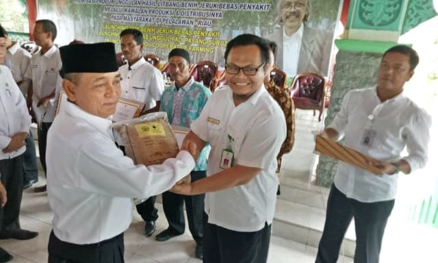 Kab. Pelalawan  Masalkan Varietas Unggul Lokal Karya BPTP Riau