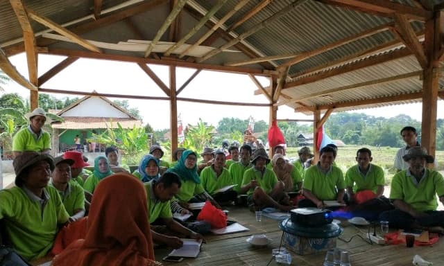 BPTP Banten Gelar Bimtek Mengatasi Masalah Budidaya Padi di Warunggunung Lebak