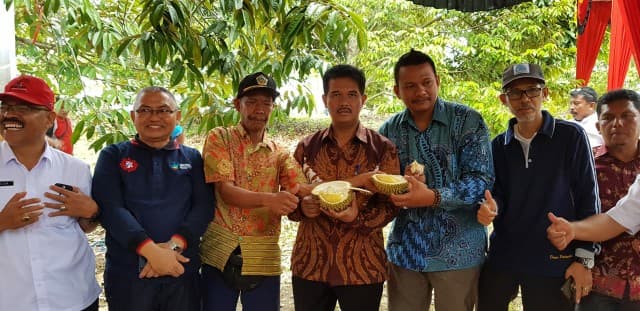 Tingkatkan Produksi dan Daya Saing, Kementan-Pemprov Sumbar Gelar Festival Durian