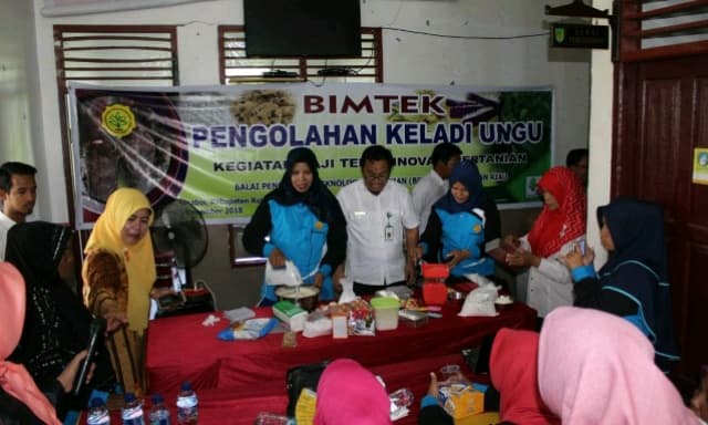 BPTP Riau latih petani mengolah keladi