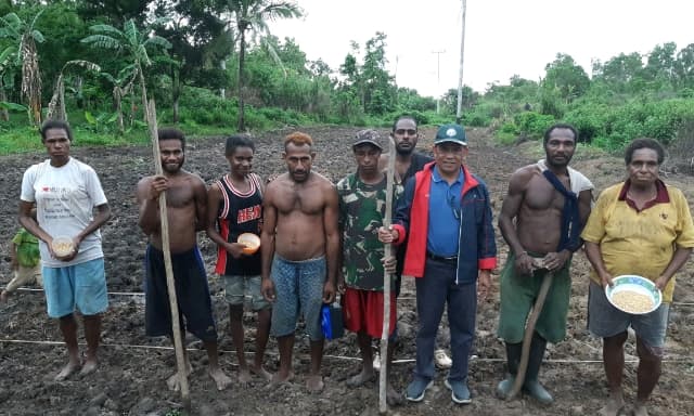 Suku Asli Papua Sandingkan Adat dengan Inovasi saat Tanam Padi