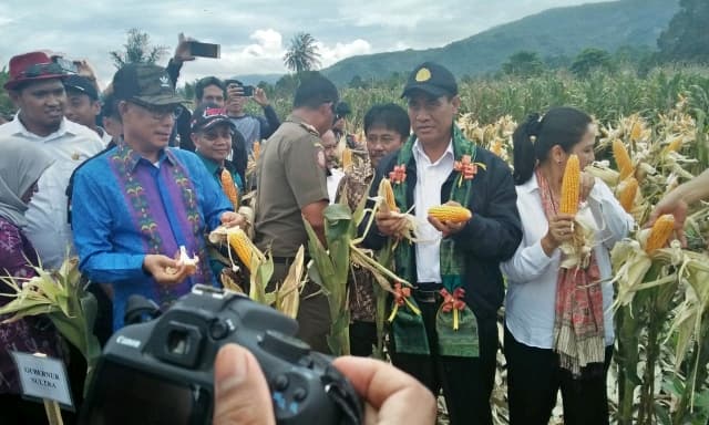 Menteri Pertanian Bantu 1,5 Juta Bibit Kakao Dan Alsintan di Kolaka Utara.