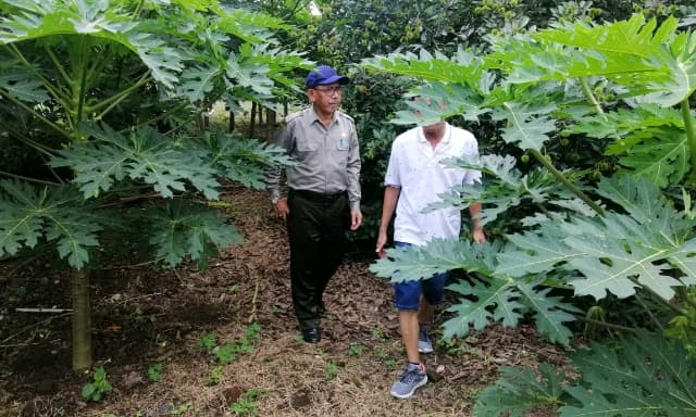 Hadirkan Situs Argowisata di Kebun Balitbangtan Pandu Sulawesi Utara Kebun Percobaan Pandu