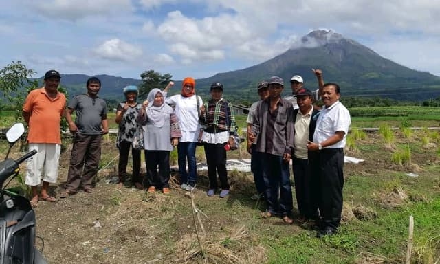 Petani Kaki Gunung Sinabung Kembali Tanam  Bawang Putih Mendukung SWASEMBADA