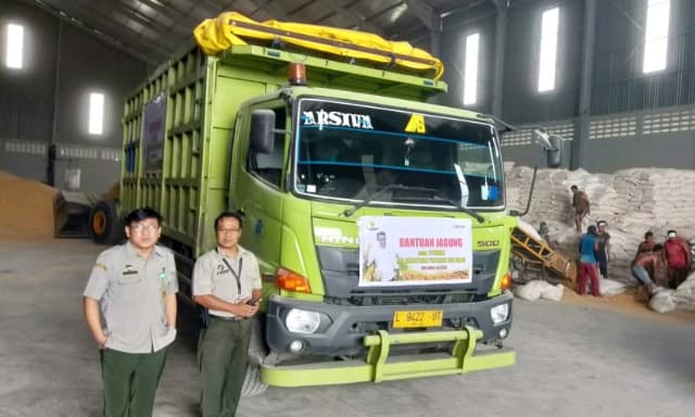 Kementan dan Bulog Distribusikan 5.000 Ton Jagung Bantu Peternak Ayam
