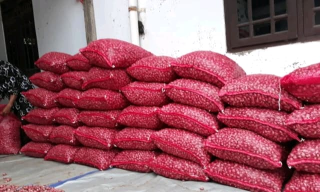BKP Kementan Bantu Pasarkan Cabai dan Bawang Merah Petani