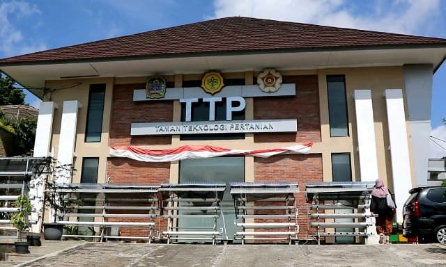 TTP Nglanggeran Bangun Bisnis Kakao di Gunung Purba, Yogyakarta