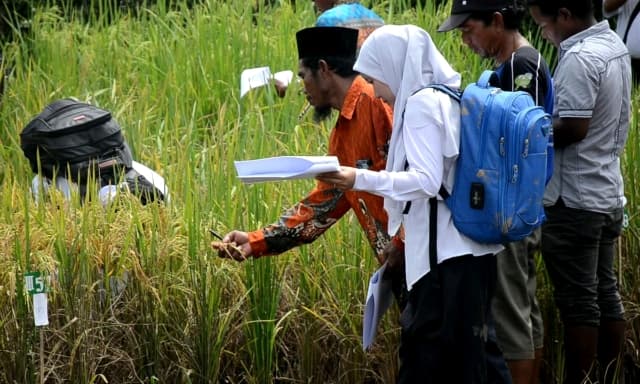 FAO Dukung Balitbangtan Kembangkan Padi Lokal Untuk Asean