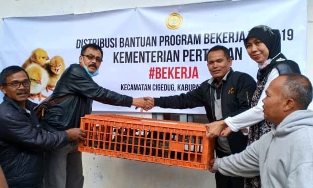 7.200 Ekor Ayam Kampung Tandai Dimulainya Penyaluran Program Bekerja 2019