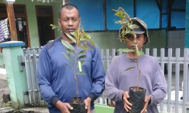 Petani di Ciamis Gembira Terima Bibit Durian Langsung Sampai dari Presiden Jokowi