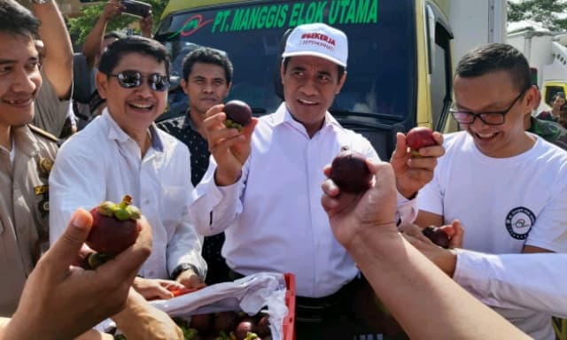 Di Sukabumi, Menteri Amran Lepas Ekspor Manggis dan Bantuan untuk 10 Ribu Petani Milenial
