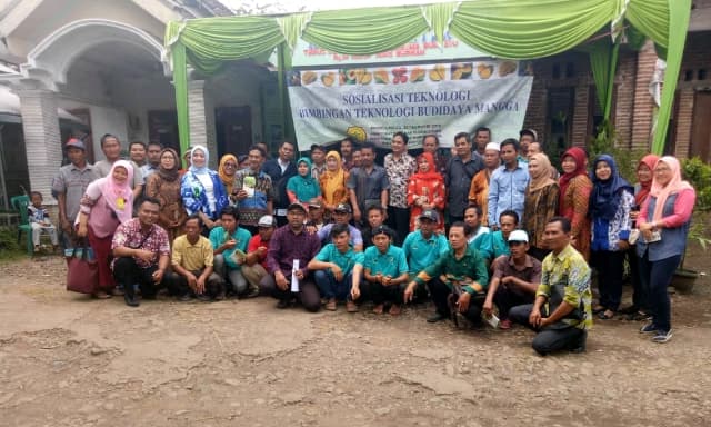 Petani Mangga Kabupaten Probolinggo Siap Mendukung Ekspor
