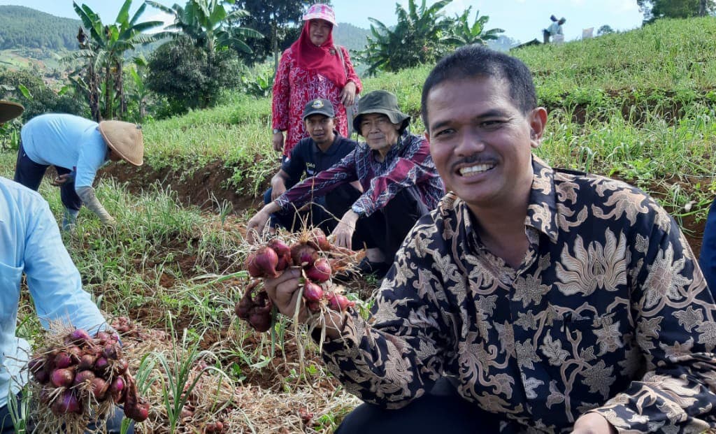 Jamin Pasokan, Kementan Dorong Sistem Tumpang Sari Bawang Merah-Bawang Putih di Kabupaten Bandung