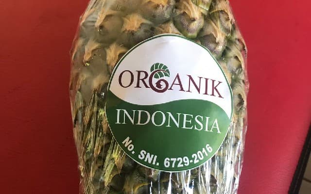 Nenas Organik Madu Galang Mempawah yang Menjanjikan