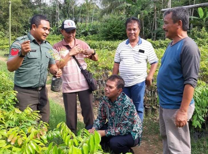 Kementan Dorong Magelang Sentra Pembibitan Unggul Hortikultura