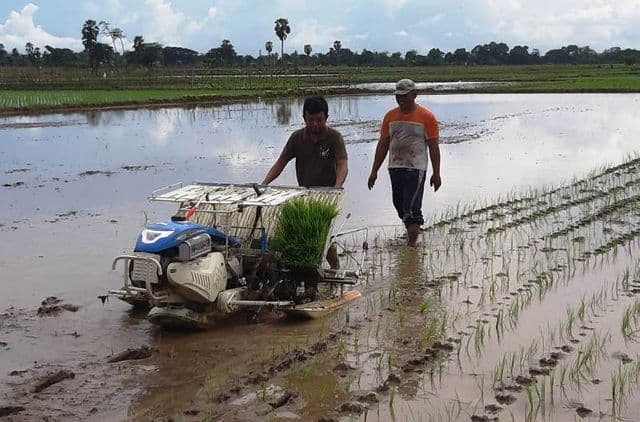 Modernisasi Mengubah Wajah Pertanian Indonesia