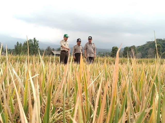 Kebun Percobaan Sebagai Show Window Pertanian 4.0