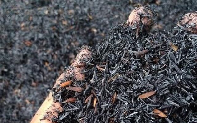 Kementan Dorong Pemanfaatan Abu Sekam Padi untuk Menghalau Serangan Burung