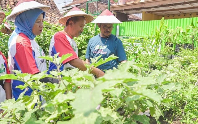 Di Kampung Sayur, Mentan Bicara Semangat Pertanian dan Program KUR
