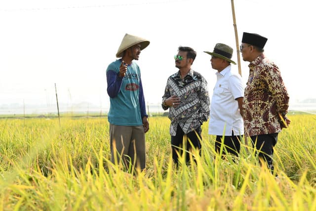Kementan Bangun Kekuatan SDM Pertanian, Wujudkan Visi Indonesia Maju
