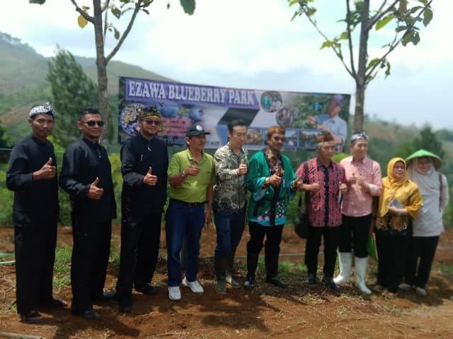 Terima Hibah Blueberry, Indonesia Siap Kembangkan Alternatif Agribisnis Bagi Petani
