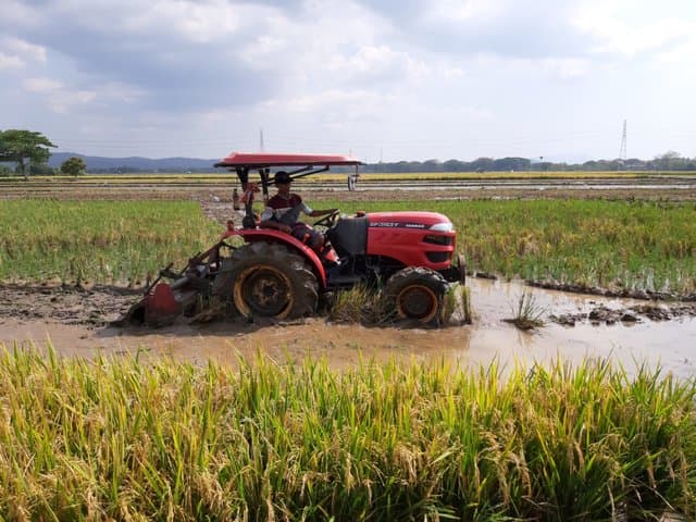 Gubernur Kalbar Komitmen Cegah Terjadinya Alih Fungsi Lahan Pertanian