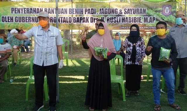 Gubernur Gorontalo Bantu Benih Jagung dan Sayuran untuk Poktan dan KWT Bone Bolango