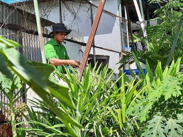 Nasib Mantan Pegawai Honorer Yang Memilih Jadi Petani Milenial