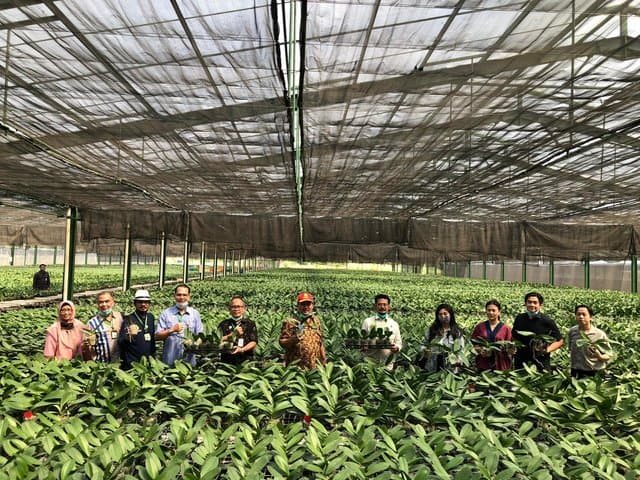 Tingkatkan Budidaya Anggrek, Mentan Dorong Perusahaan Eka Karya Flora Buka Akses Pasar Secara Luas