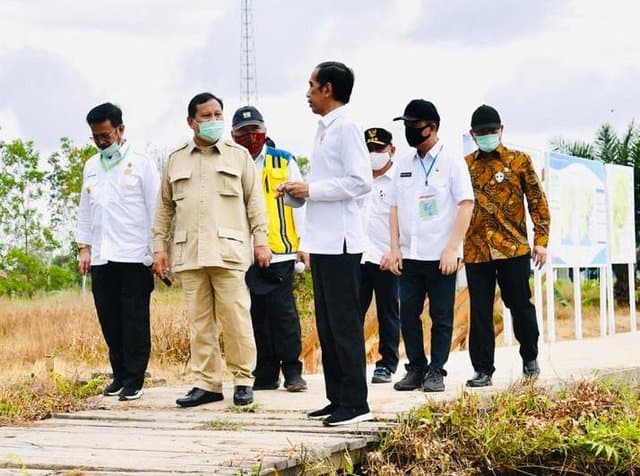 Presiden Jokowi didampingi Mentan SYL Tinjau Food Estate di Kapuas