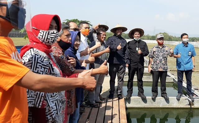 Belajar Dari Petani Sukoharjo Panen 4 Kali Setahun, Begini Caranya