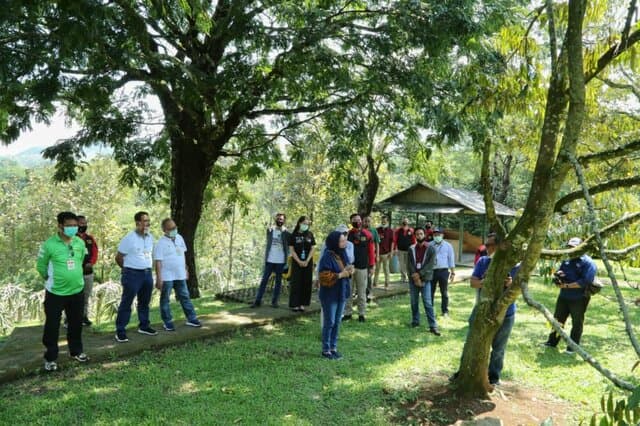 Bersama Kementan, Warso Farm Siap Kembangkan 13 Hektar Lahan Buah Naga dan Durian