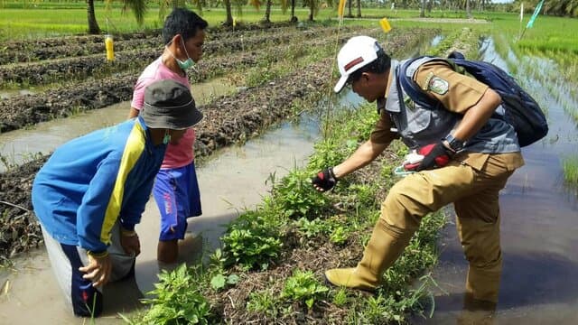 Kementan Sigap Tangani Dampak Perubahan Iklim di Kalimantan Barat
