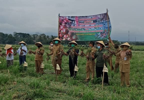 Kementan Dorong Korporasi Petani Bawang Merah di Kulon Progo