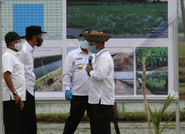 Presiden Jokowi Tinjau Percontohan Kawasan Food Estate Kalteng