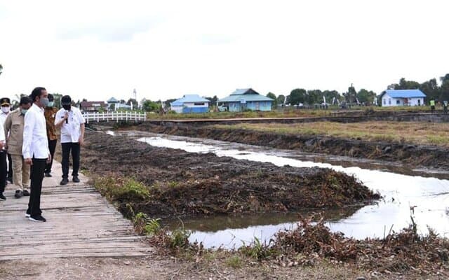 Penyuluh Harus Masif Kawal Petani Food Estate Kalteng