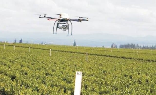 Kementan Aplikasikan Kecerdasan Artificial untuk Teknologi Pertanian