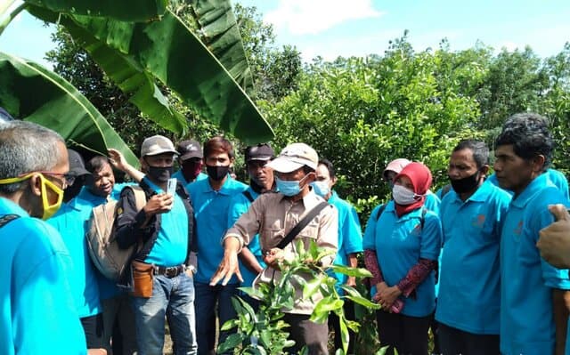 Dukung Food Estate Kalimantan Tengah, Kementan Adakan Bimbingan Teknologi Bagi Para Petani