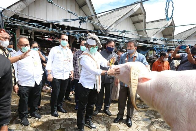Mentan Syahrul Pantau Aktivitas Jual Beli Pasar Ternak Tallunglipu