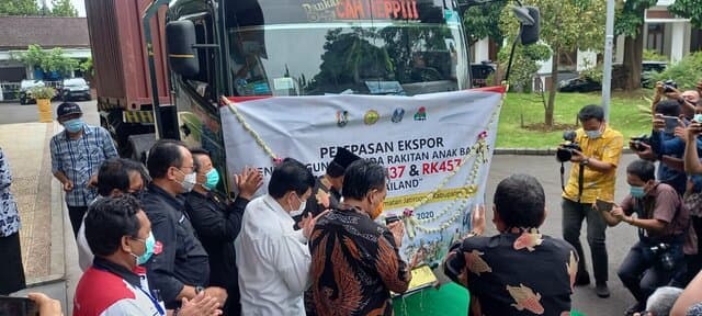 Kabupaten Tuban Ekspor Jagung Varietas Hasil Karya Anak Bangsa