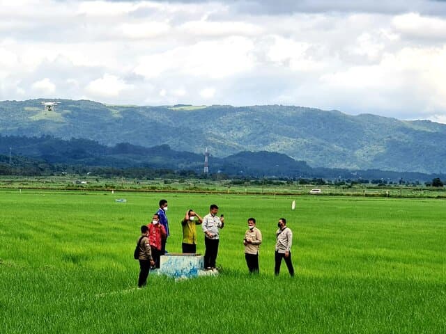 Petani Senang, Biaya Produksi Food Estate Sumba Tengah Rendah