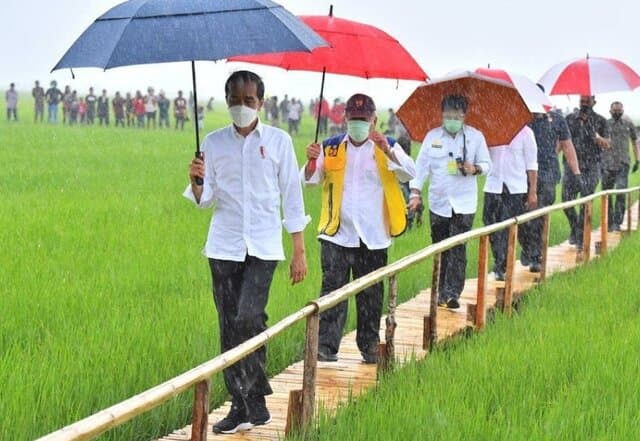 Presiden Jokowi Dorong Pembangunan Kawasan Food Estate Sumba Tengah Capai 10.000 Ha