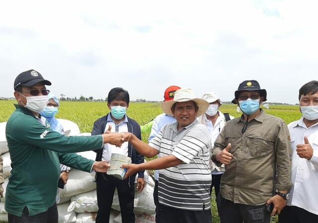 Petani Subang Sumringah, Gabah Hasil Panen Langsung Dibeli di Lokasi Rp 4.400/Kg