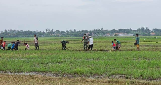 Gandeng TNI, Petani dan Pemda, Komisi IV DPR RI Apresiasi Langkah Kementan Antisipasi La Nina