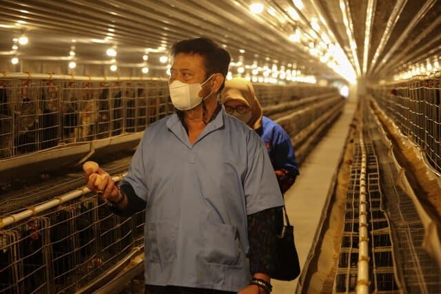 Mentan SYL Melepas Ekspor Telur Tetas dan Ajak Kembangkan Ayam KUB