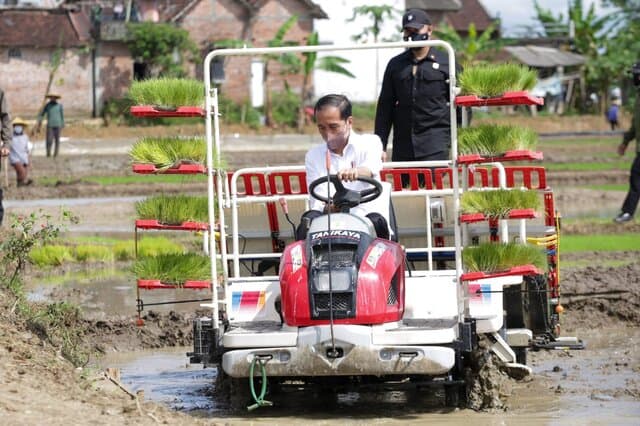Presiden Jokowi Tegaskan Produksi Padi Dalam Kondisi Optimal