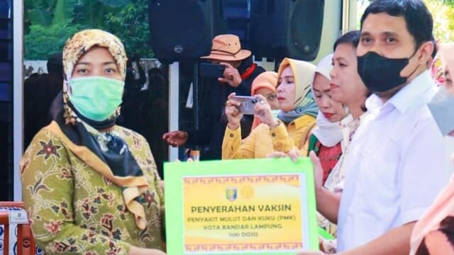Vaksinasi PMK di Lampung Dimulai, Wagub Apresiasi Kinerja Kementan