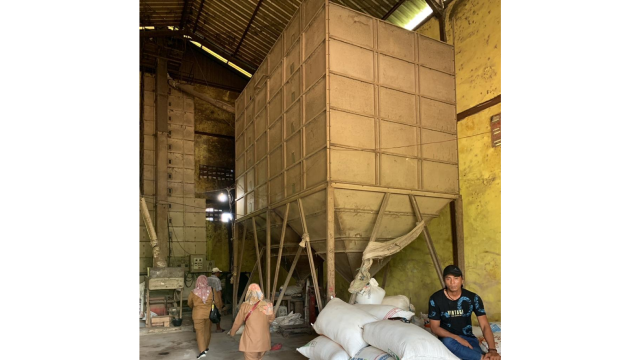Cegah Penurunan Kualitas Beras, Petani Kota Waringin Timur Maksimalkan Penggunaan Mesin Pengering Bantuan Pemerintah Tahun 2013