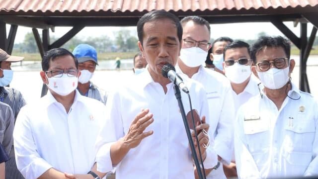 Dalam Kunker Jokowi, Kementan Pastikan Sagu dan Kelapa Terus Dikembangkan
