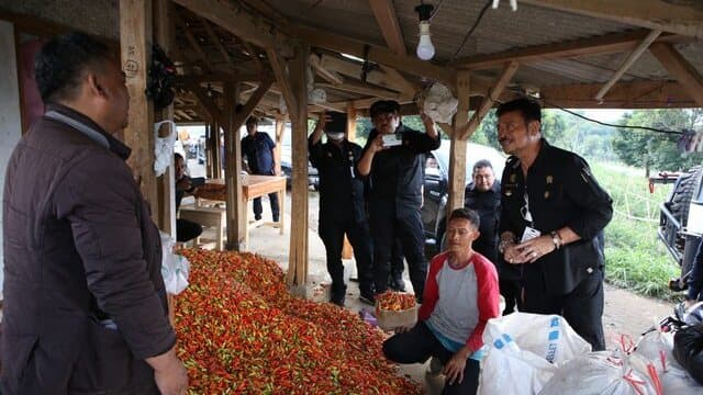 Harga Cabai Turun, Pedagang Sebut Karena Pasokan Cabai Melimpah